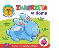 ZWIERZĘTA W DOMU KOLOROWANKA Z GRUBYM OBRYSEM, Podkategoria, Kategoria
