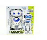 ROBOT RC 8062, Podkategoria, Kategoria