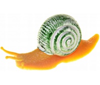 ŚLIMAK 12CM. 8512, Podkategoria, Kategoria