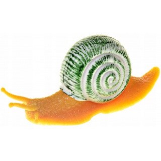 ŚLIMAK 12CM. 8512, Podkategoria, Kategoria