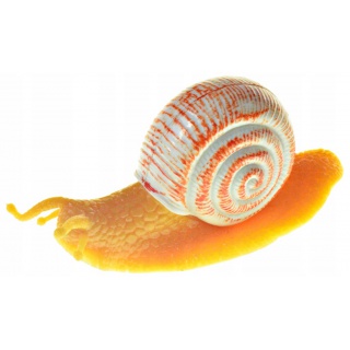 ŚLIMAK 12CM. 8512, Podkategoria, Kategoria