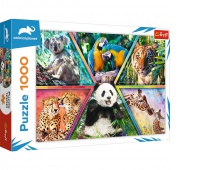 Puzzle 1000 - Królestwo zwierząt, Podkategoria, Kategoria