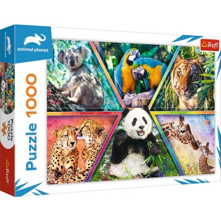 Puzzle 1000 - Królestwo zwierząt, Podkategoria, Kategoria