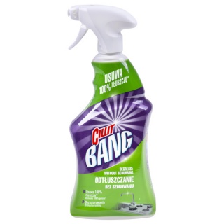 Spray uniwersalny CILLIT BANG, tłuszcz i smugi, 750 ml, Środki czyszczące, Artykuły higieniczne i dozowniki