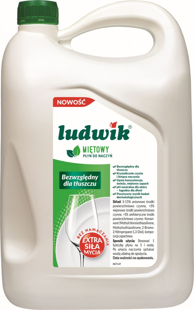 Dishwashing liquid, LUDWIK, Mint, 5kg, Cleaning products, Cleaning & Janitorial Supplies and Dispensers
