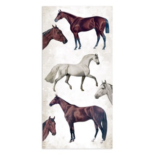 STAMP BLOK PAP.SCRAP.15X30,5CM ROM.HORSES 10ark., Podkategoria, Kategoria