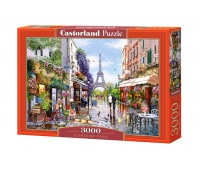 PUZZLE 3000-EL FLOWERING PARIS, Podkategoria, Kategoria