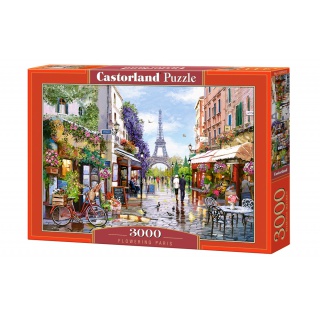 PUZZLE 3000-EL FLOWERING PARIS, Podkategoria, Kategoria