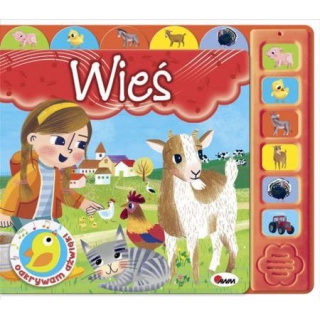 ODKRYWAM DŹWIĘKI WIEŚ, Podkategoria, Kategoria