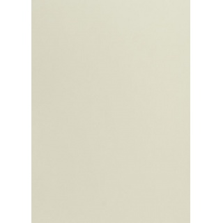 KARTON TOP B1 225GR.93 JASNOSZARY /25/, Podkategoria, Kategoria