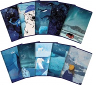 ZESZYT TOP WINTER SAILOR 95x148 32K.KRATKA 12szt., Podkategoria, Kategoria