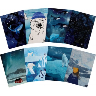 BRULION TOP WINTER SAILOR A5 96K.KRATKA, Podkategoria, Kategoria