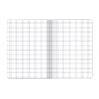ZESZYT TOP LINEA A5 16K.KRATKA MIX 20szt., Podkategoria, Kategoria