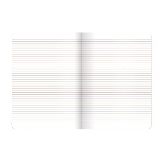 ZESZYT TOP LINEA A5 16K.LINIA PODW.KOLOR.MIX 20szt, Podkategoria, Kategoria