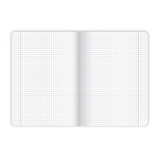 ZESZYT TOP LINEA A5 32K.KRATKA MIX 10szt., Podkategoria, Kategoria