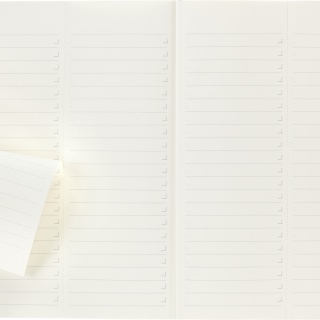 Notes MOLESKINE PROFESSIONAL A4 (21x29,7 cm), miękka oprawa, 192 strony, czarny, Notatniki, Zeszyty i bloki