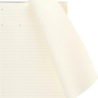 Notes reporterski PRO PAD MOLESKINE L (13x21 cm), 96 stron, czarny, Notatniki, Zeszyty i bloki