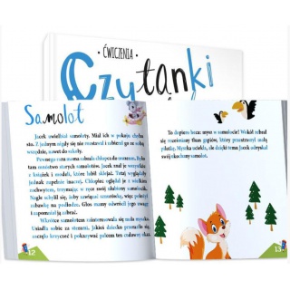 CZYTANKI SYLABOWE Z ZADANIAMI Z LISKIEM, Podkategoria, Kategoria