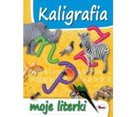 KALIGRAFIA MOJE LITERKI, Podkategoria, Kategoria