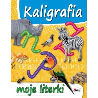 KALIGRAFIA MOJE LITERKI, Podkategoria, Kategoria