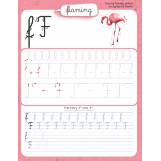 KALIGRAFIA MOJE LITERKI, Podkategoria, Kategoria