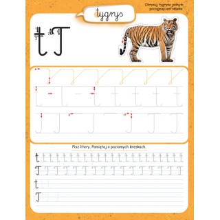 KALIGRAFIA MOJE LITERKI, Podkategoria, Kategoria