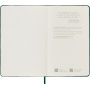 MOLESKINE limited edition notebook Velvet L (13x21 cm) ruled, BOX, green