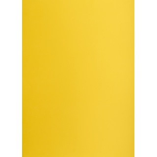KARTON TOP A3 160GR.58 CIEMNOŻÓŁTY /25/, Podkategoria, Kategoria
