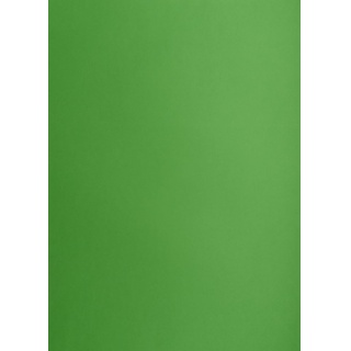 KARTON TOP A3 160GR.68 W J.ZIELONY /25/, Podkategoria, Kategoria