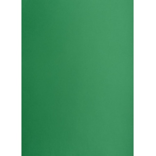 KARTON TOP A3 160GR.63 M C.ZIELONY /25/, Podkategoria, Kategoria