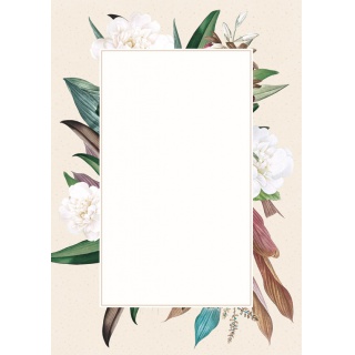 DYPLOM A4 170g CAMELLIA 25szt