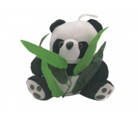 PANDA PLUSZOWA, Podkategoria, Kategoria