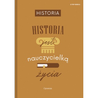 BRULION TW A5 80K.KRATKA HISTORIA, Podkategoria, Kategoria