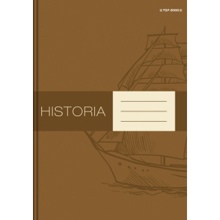 BRULION TW A5 80K.KRATKA HISTORIA, Podkategoria, Kategoria