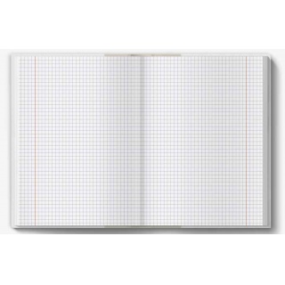 BRULION TW A5 80K.KRATKA HISTORIA, Podkategoria, Kategoria