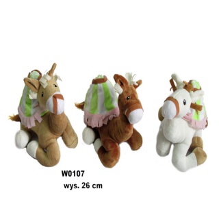 WIELBŁĄD W0107 096296, Podkategoria, Kategoria
