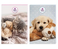 NOTES A6 30K.Z PODDRUKIEM THE SWEET PETS, Podkategoria, Kategoria