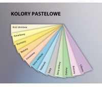 PAPIER KSERO A4 KOŚĆ SŁONIOWA 80g 50ark CR20, Papier ksero kolorowy, Papier
