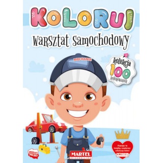 KOLEKCJA KOLORUJ WARSZTAT SAMOCHODOWY, Podkategoria, Kategoria
