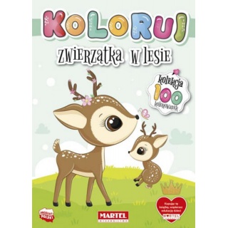 KOLEKCJA KOLORUJ ZWIERZĄTKA W LESIE, Podkategoria, Kategoria