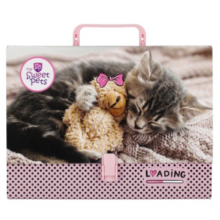 TECZKA Z RĄCZKA WALIZECZKA THE SWEET PETS KOT, Podkategoria, Kategoria
