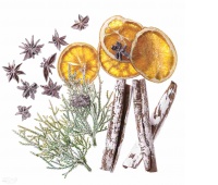 NATURALNE ELEMENTY 19gr.CYNAMON, ANYŻ, POMARAŃCZA, Podkategoria, Kategoria
