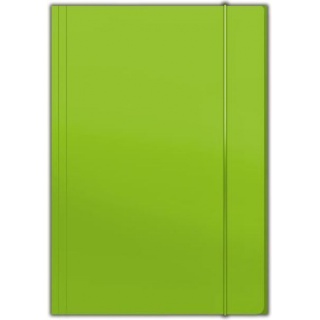 PENMATE TECZKA Z GUMKĄ A4 PLUS TOP J.ZIELONA, Teczki tekturowe, Organizacja dokumentów