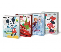 TOREBKA NA PREZENT BN L DISNEY MIX V7 260X340X140, Podkategoria, Kategoria