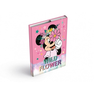 TECZKA SKRZYDŁOWA Z GUMKĄ A4 DISNEY MINNIE, Podkategoria, Kategoria