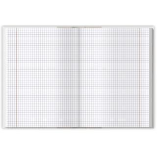 BRULION TOP COLORS A4 96K.KRATKA NIEBIESKI, Podkategoria, Kategoria
