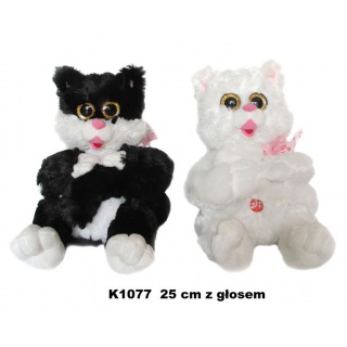 KOT 3655 K1077, Podkategoria, Kategoria