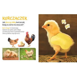POGŁASZCZ ZWIERZĄTKO 0814, Podkategoria, Kategoria