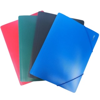 TECZKA Z GUMKĄ A4 PP(1/20)