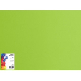 KARTON TOP A1 160G 66 JASNOZIELONY /25/, Podkategoria, Kategoria